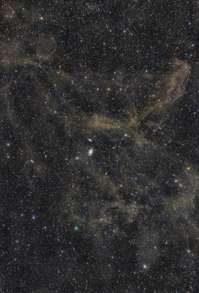 M 81