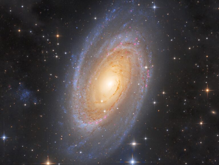 M 81