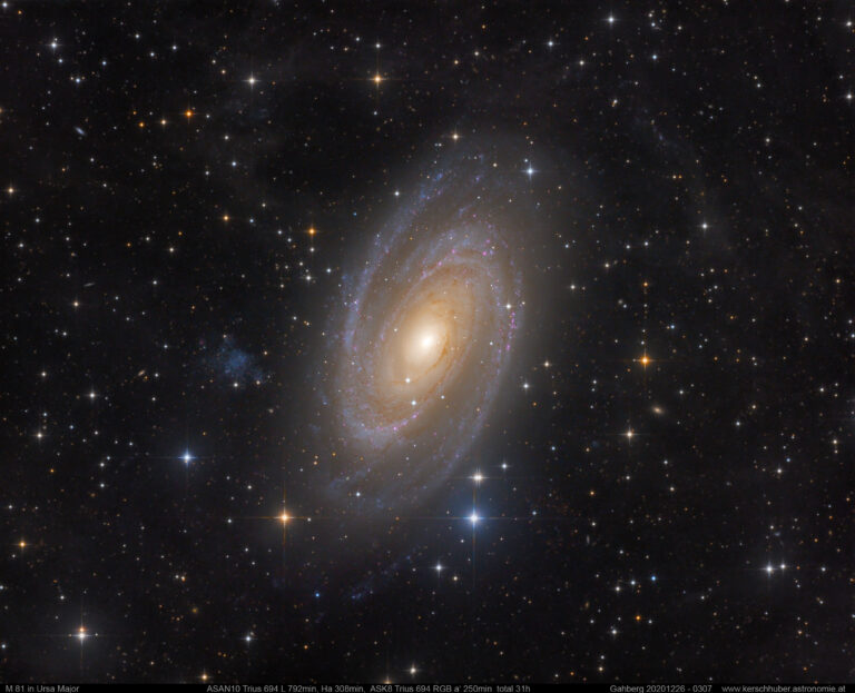 M 81