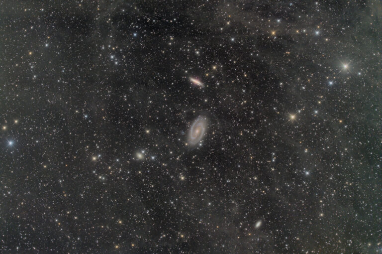 M 81