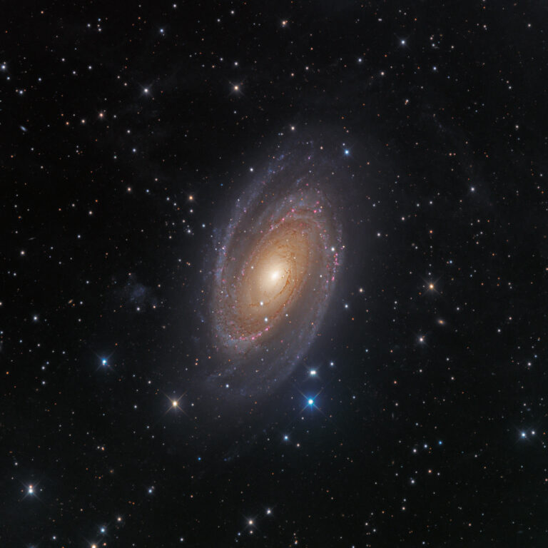 M 81