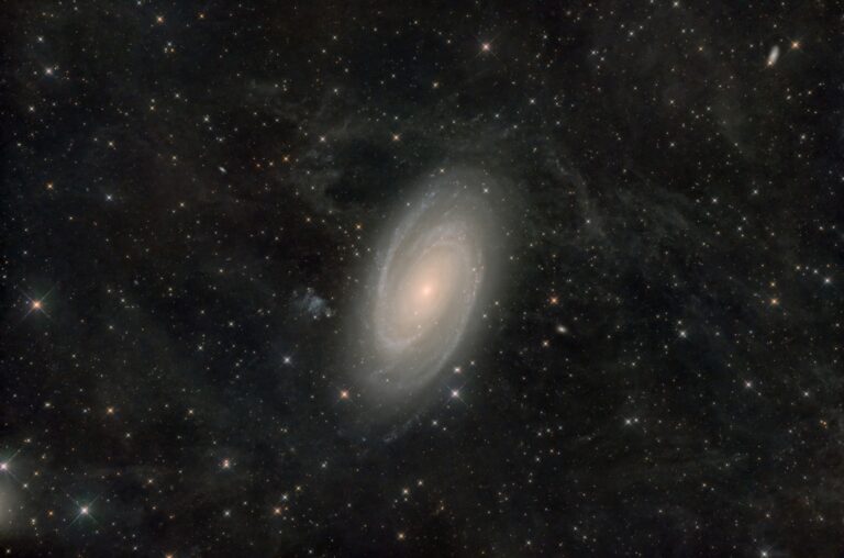 M 81