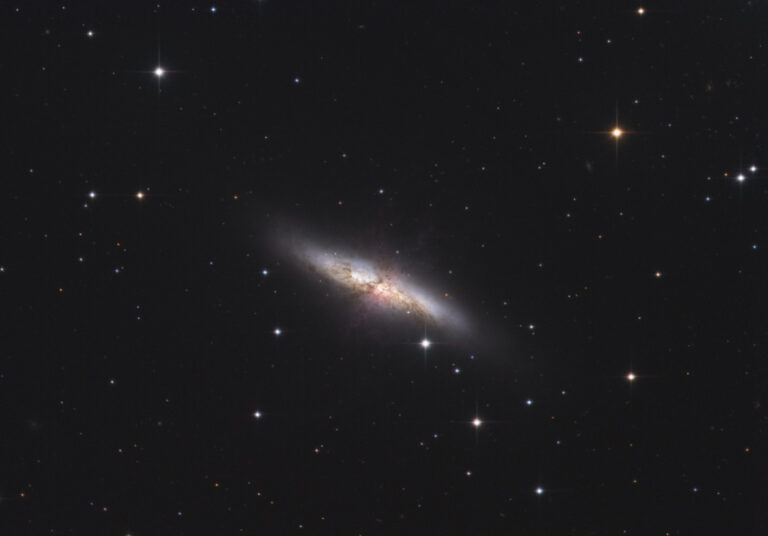 M 82