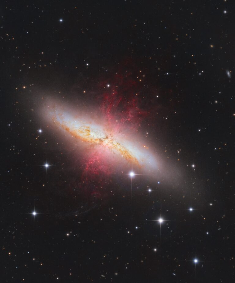 M 82