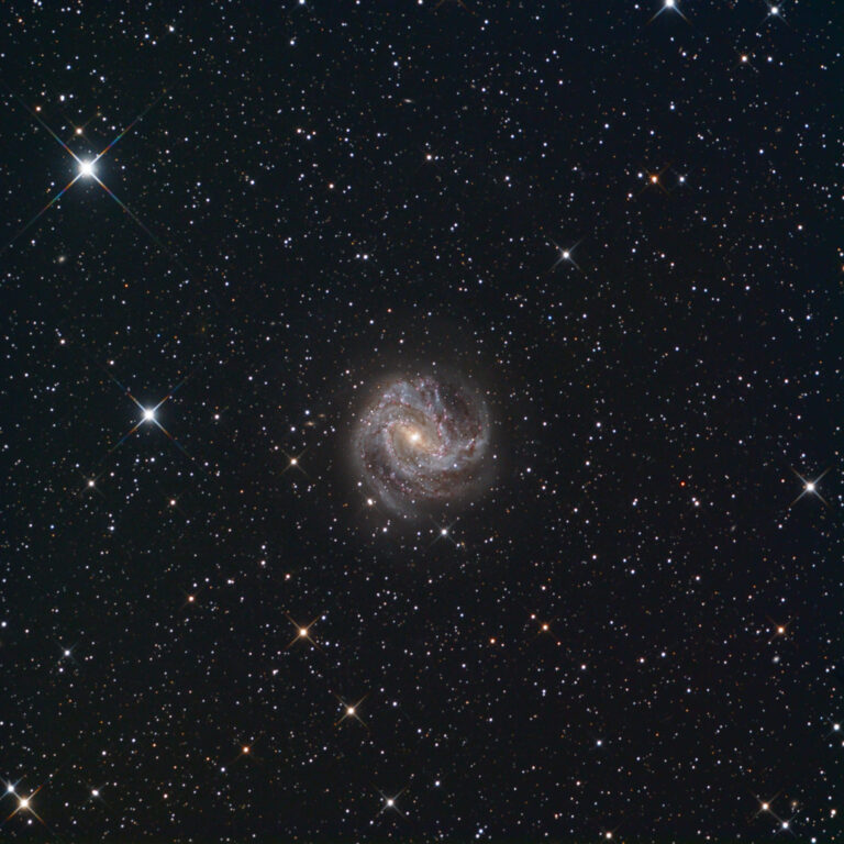 M 83