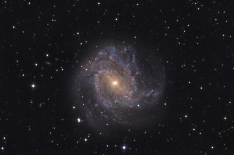 M 83