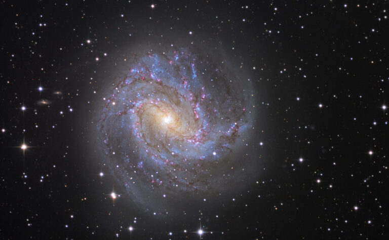 M 83