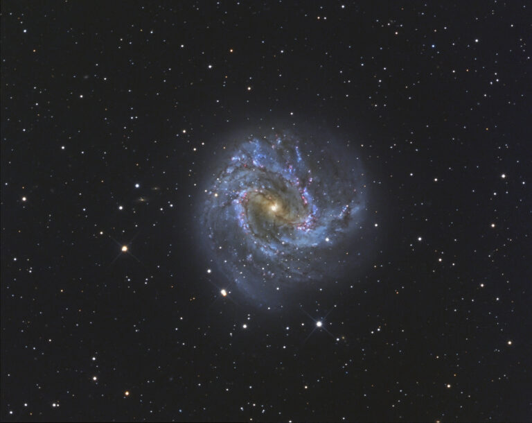 M 83