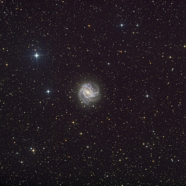 M 83