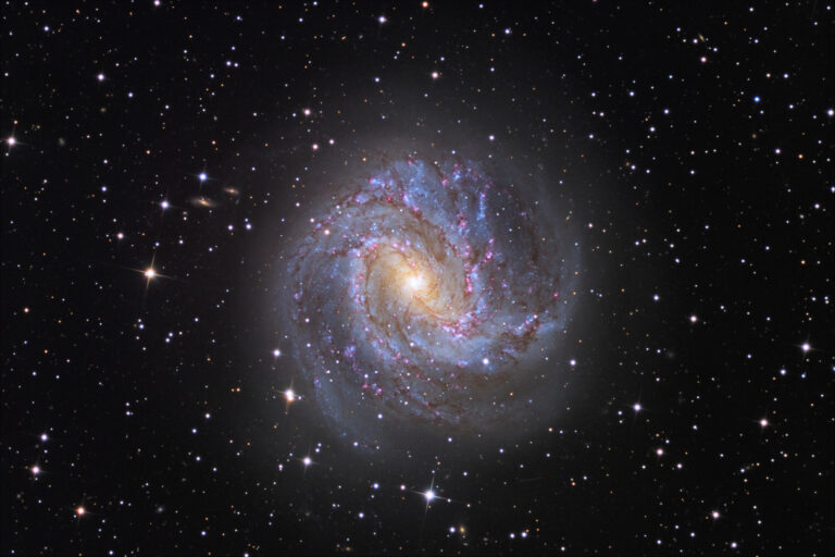 M 83