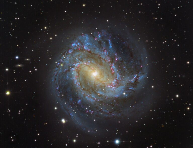 M 83