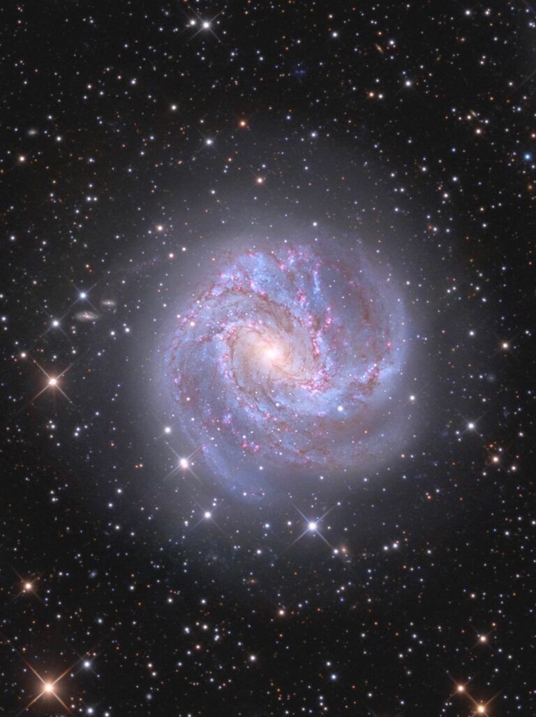 M 83