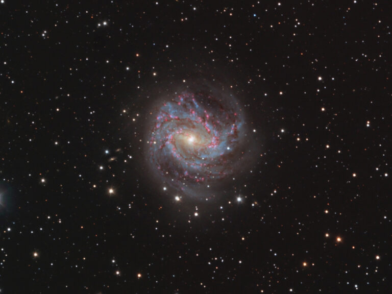 M 83