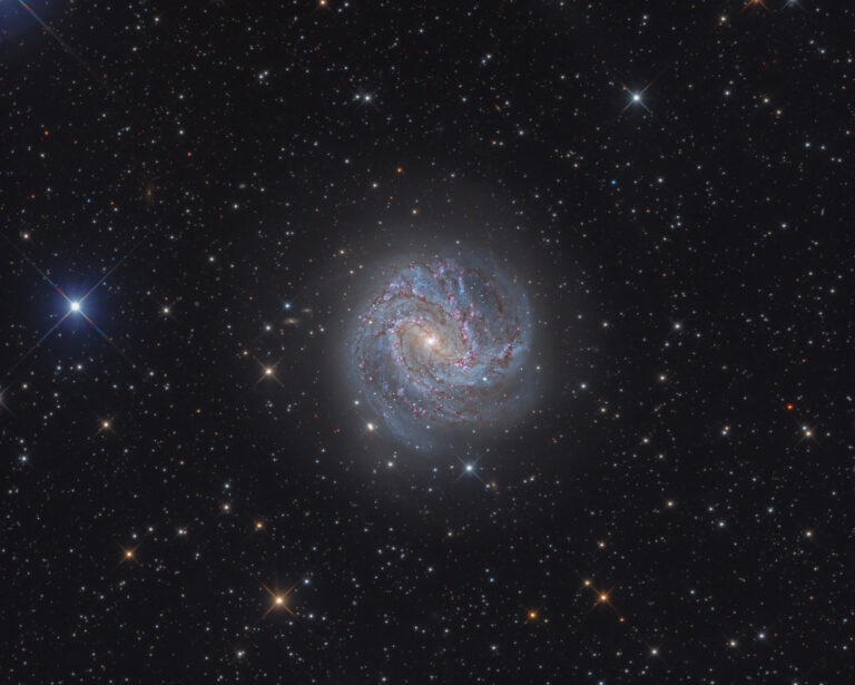 M 83