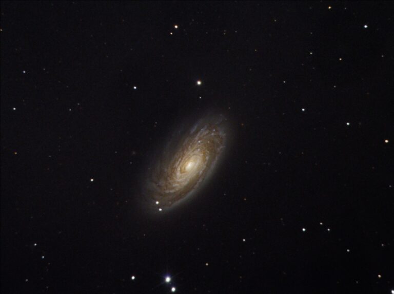 M 88