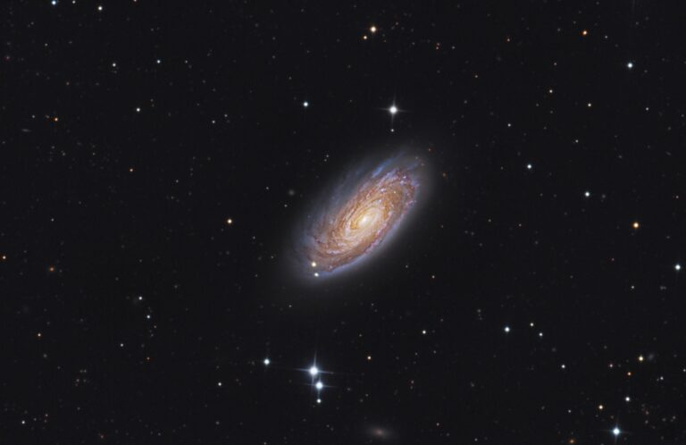M 88