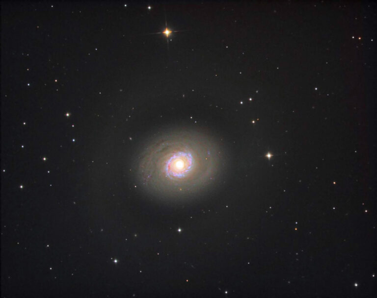 M 94