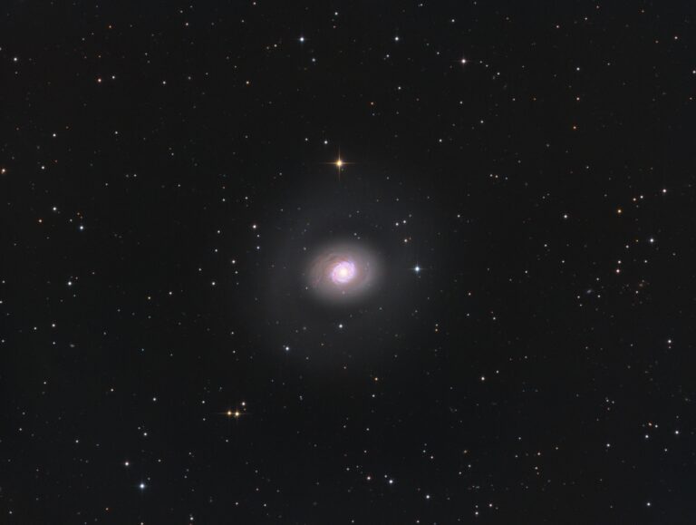 M 94
