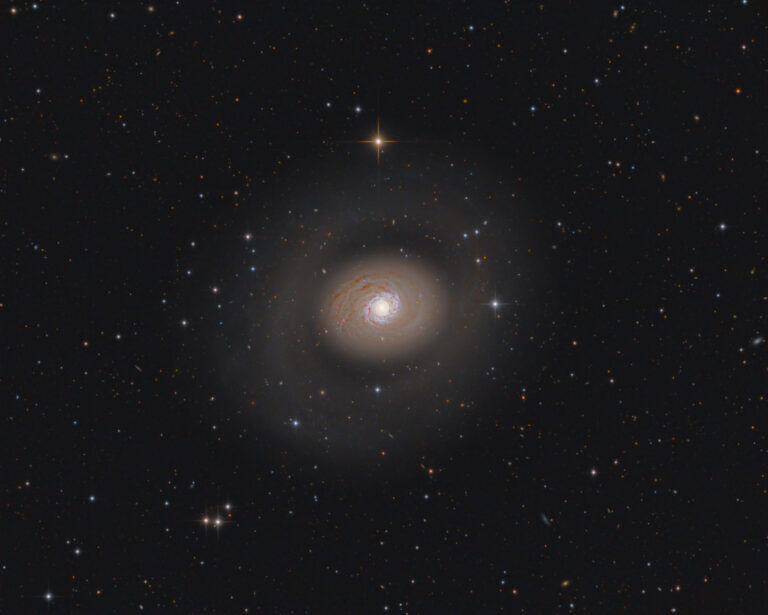 M 94