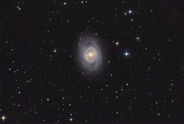 M 95