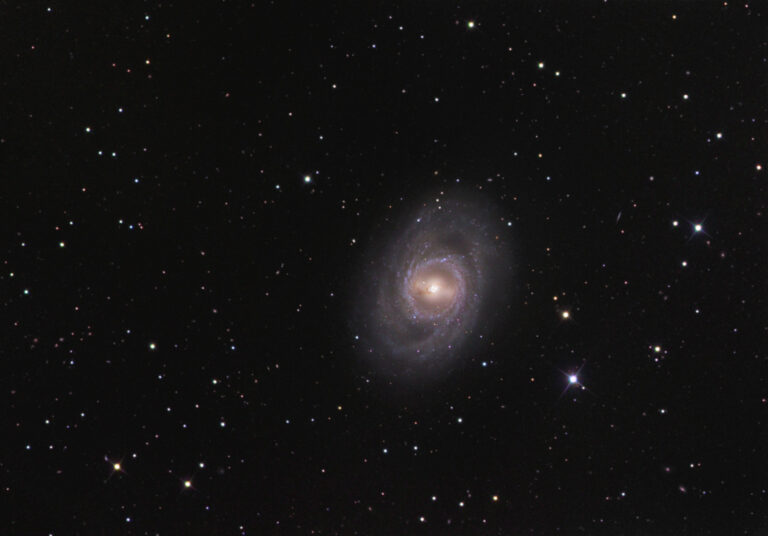 M 95