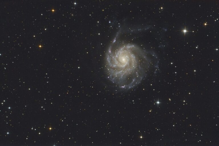 M 101