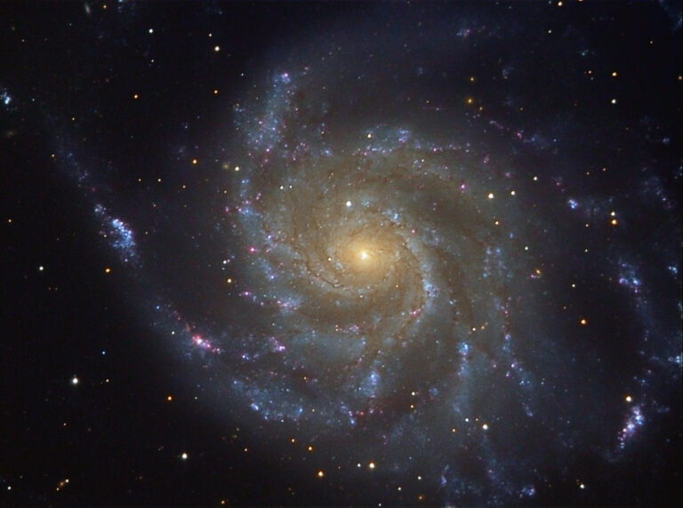 M 101