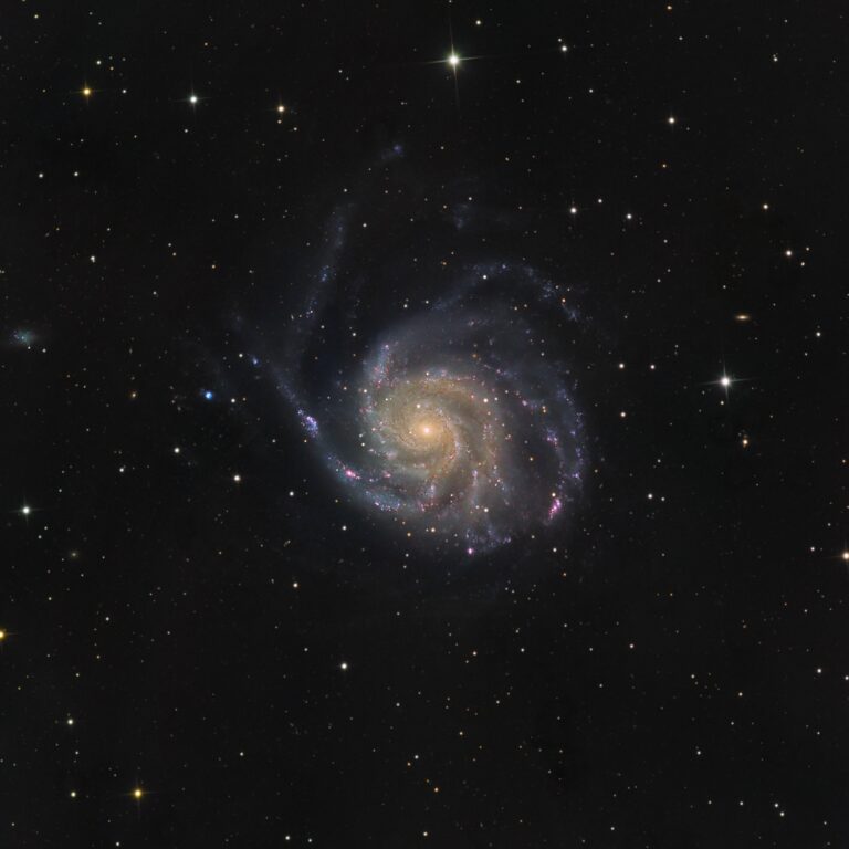 M 101