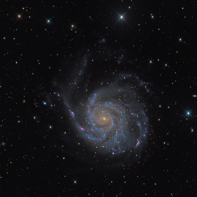 M 101