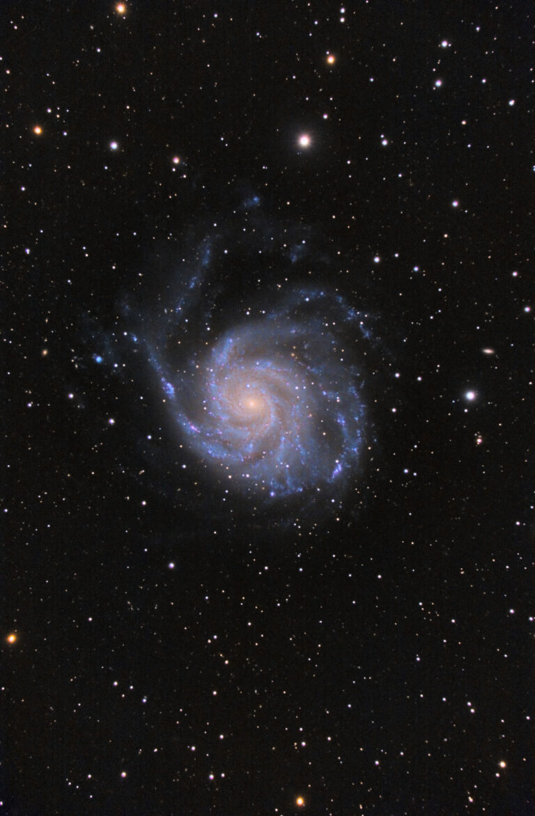 M 101
