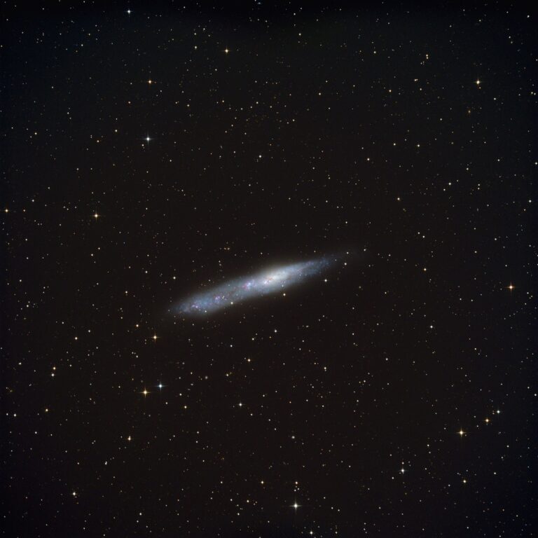 NGC 55