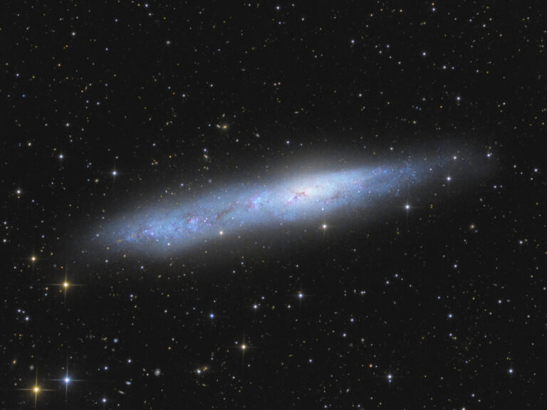 NGC 55