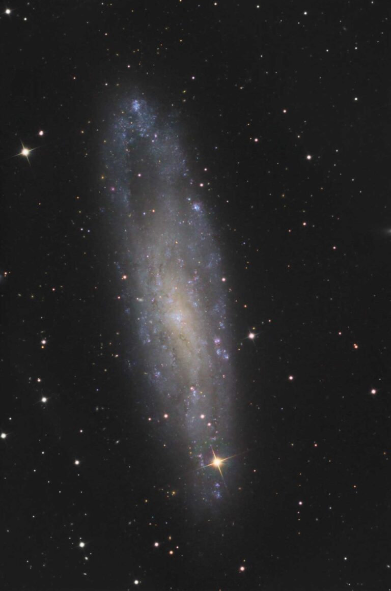 NGC 247