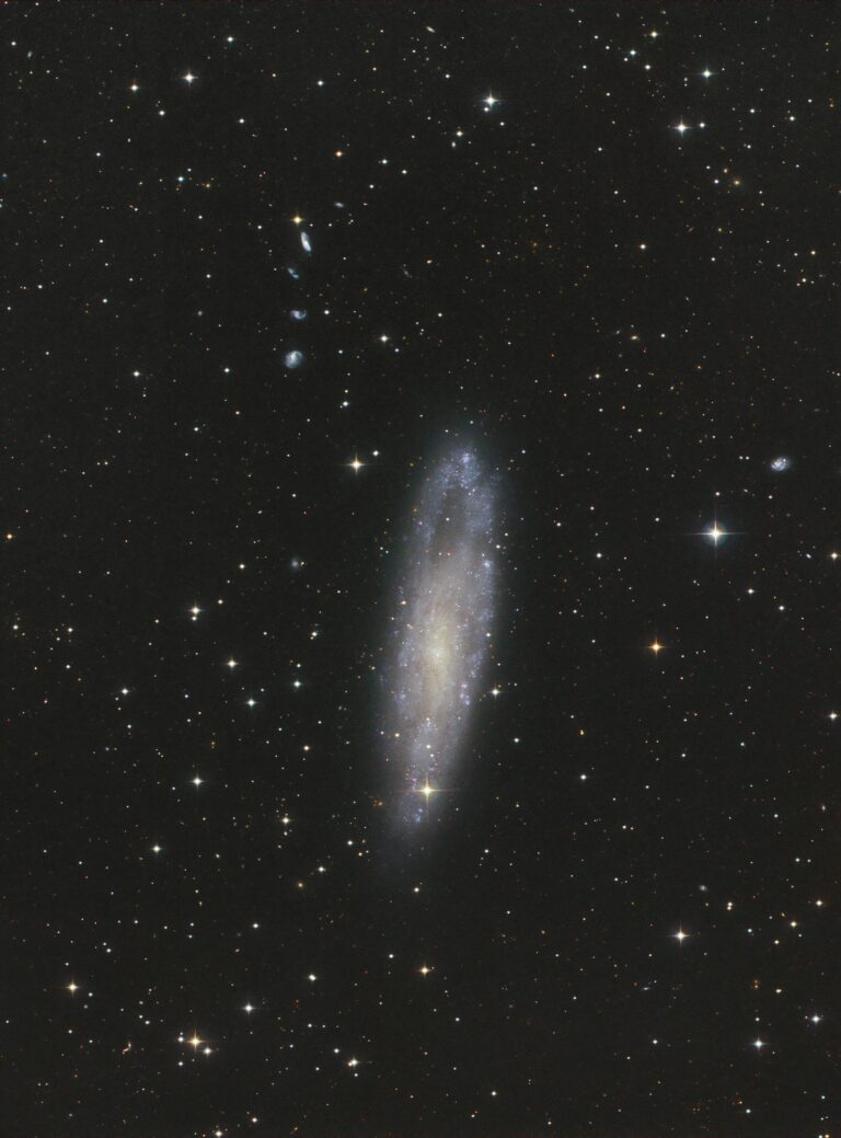 NGC 247