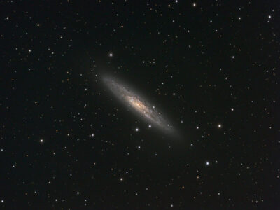 Read more about the article NGC 253