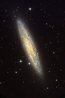 Read more about the article NGC 253