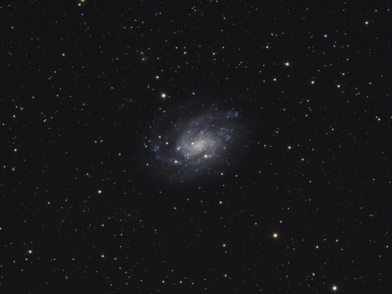 NGC 300