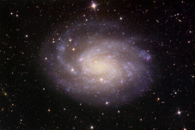 Mehr über den Artikel erfahren NGC 300