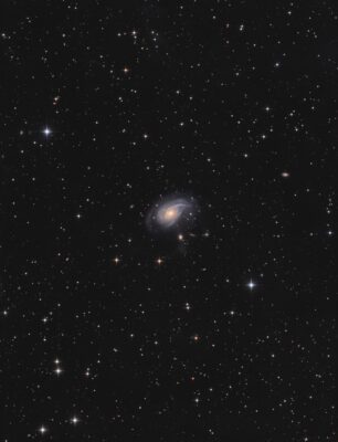 Mehr über den Artikel erfahren NGC 772