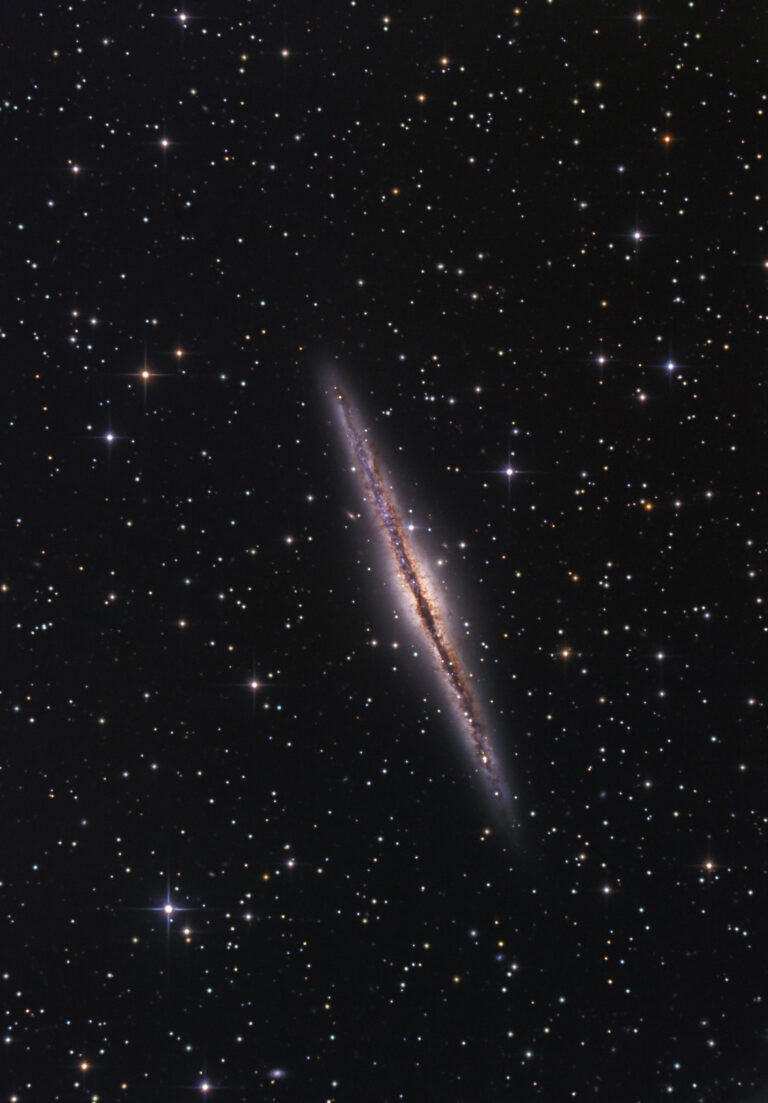 NGC 891