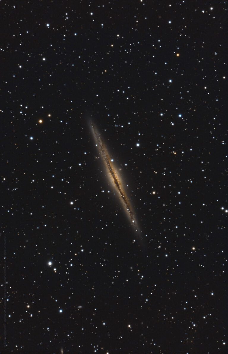 NGC 891