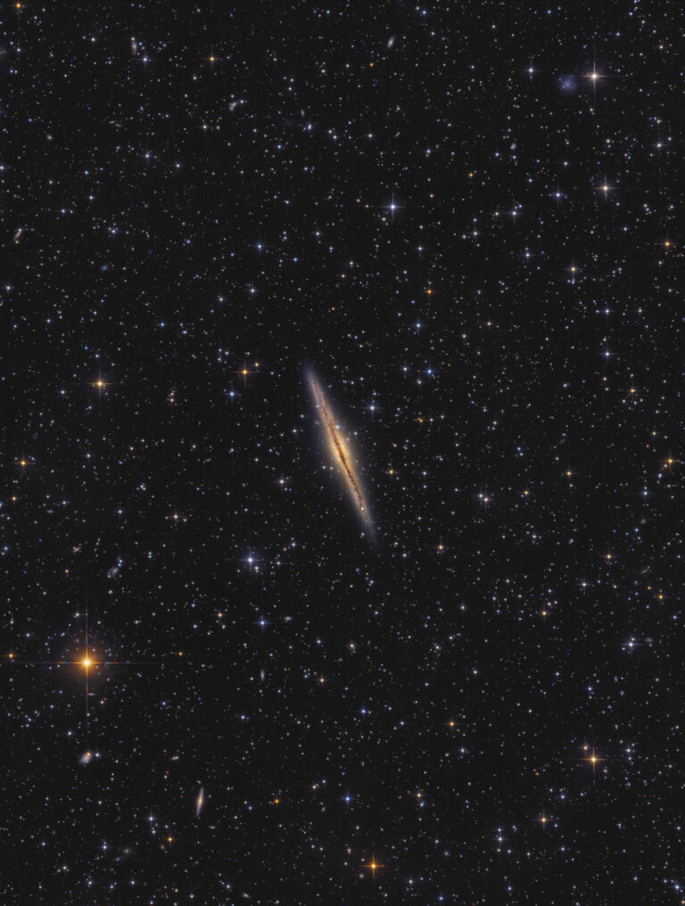 NGC 891