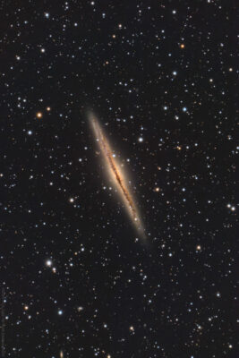 Mehr über den Artikel erfahren NGC 891