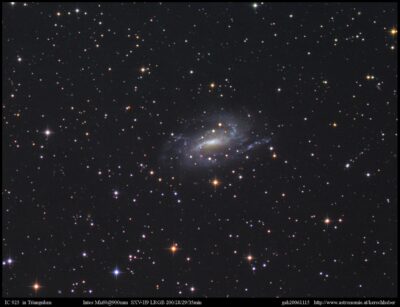 Mehr über den Artikel erfahren NGC 925