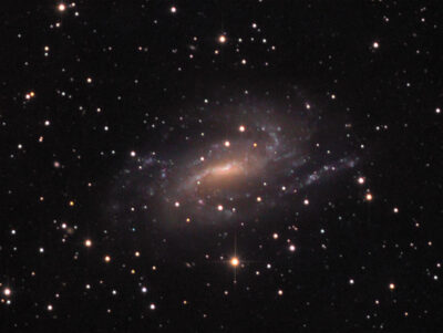 Read more about the article NGC 925