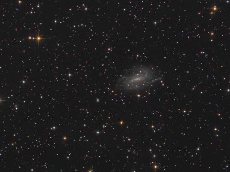 NGC 925