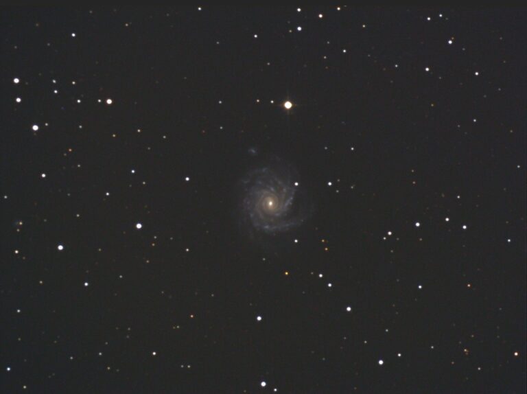 NGC 1232