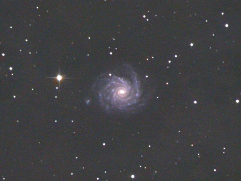NGC 1232