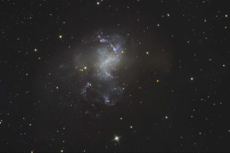 NGC 1313