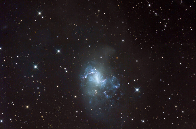 NGC 1313